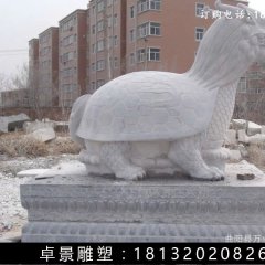 龍龜石雕，漢白玉龍龜?shù)袼? width=