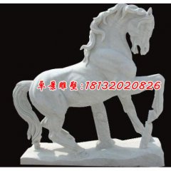 石雕馬，駿馬石雕，漢白玉駿馬雕塑