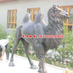銅雕駱駝，公園動物銅雕