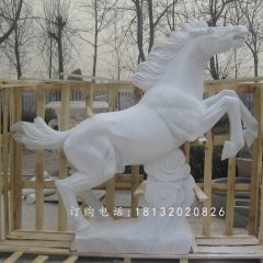 漢白玉石雕馬，廣場石馬雕塑