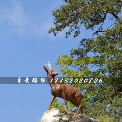 小鹿雕塑，玻璃鋼仿真動(dòng)物