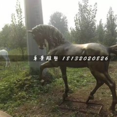 馬銅雕，公園動(dòng)物銅雕