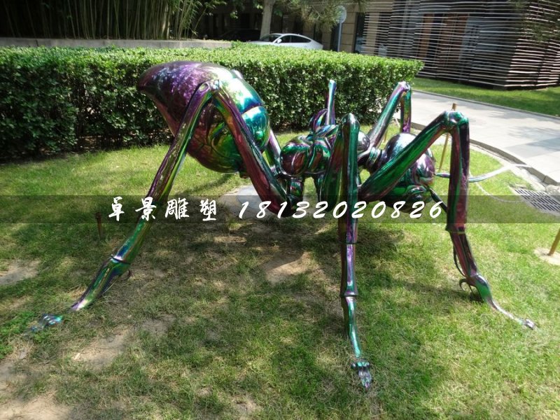 不銹鋼蜘蛛雕塑，公園動(dòng)物雕塑