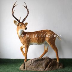 玻璃鋼梅花鹿，公園仿真動(dòng)物