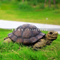 玻璃鋼烏龜?shù)袼?，仿真?dòng)物雕塑